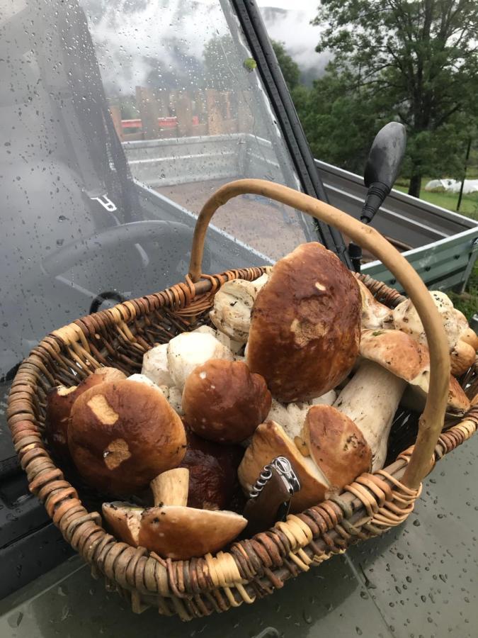La Source D'En Haut Valcivieres Zewnętrze zdjęcie