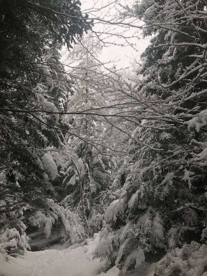 La Source D'En Haut Valcivieres Zewnętrze zdjęcie